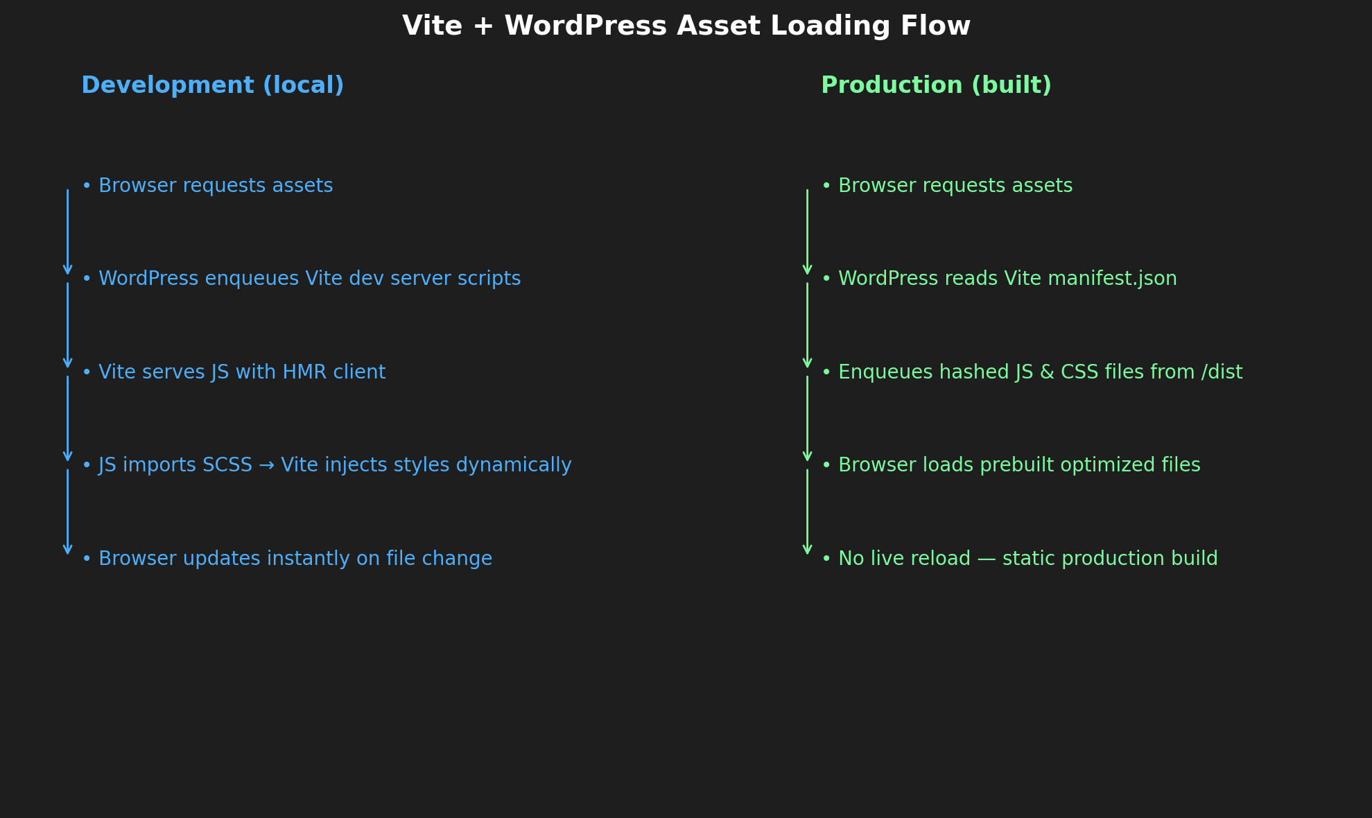 Vite Asset Enqueuing Chart